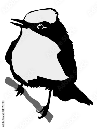Tablou pe pânză silhouette of flycatcher