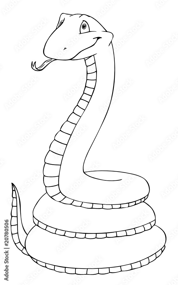 Fototapeta premium Schlange, Mamba, Dschungel, gefährlich, giftig, Gift