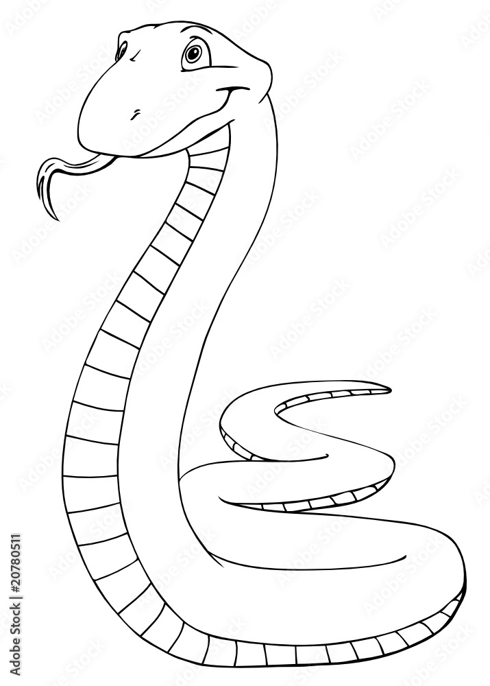 Fototapeta premium Schlange, Mamba, Dschungel, gefährlich, giftig, Gift