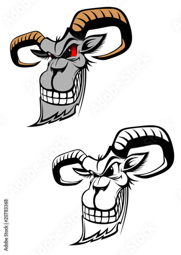 Wild ram