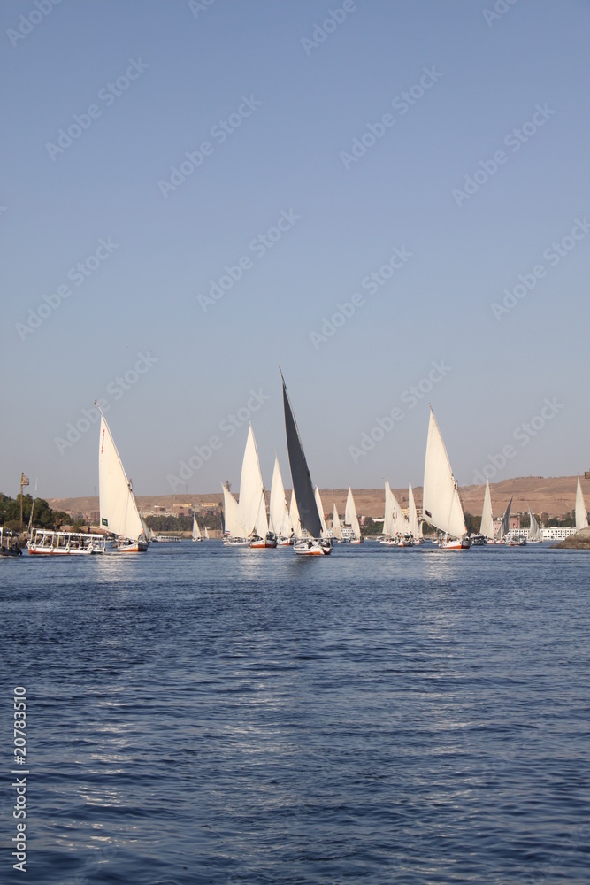 Fototapeta premium El nilo y Egipto