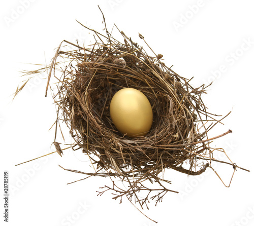 Nest with Golden Egg