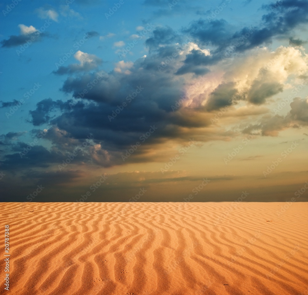 Naklejka premium sand desert at the evening