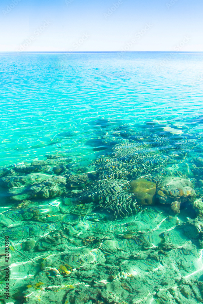 Fototapeta premium sea blue