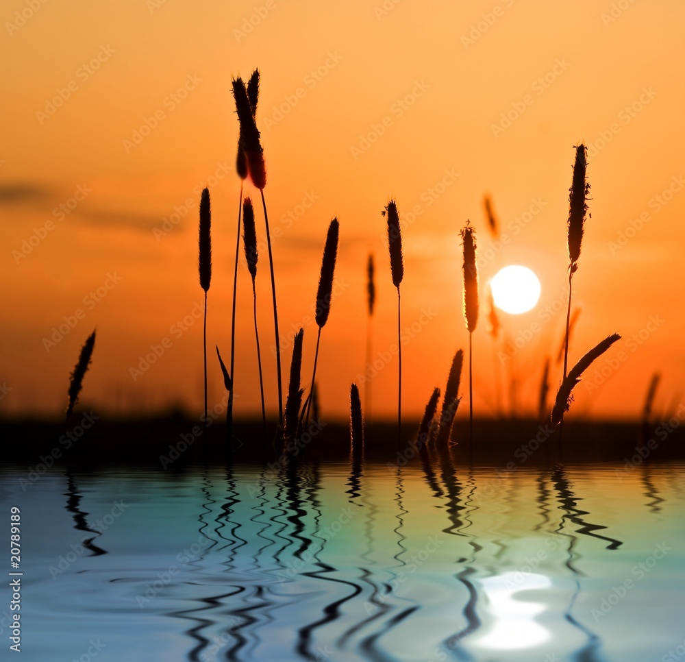 sunset in steppe reflected in a water