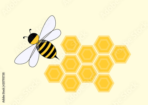 Cartoon bee in honeycomb