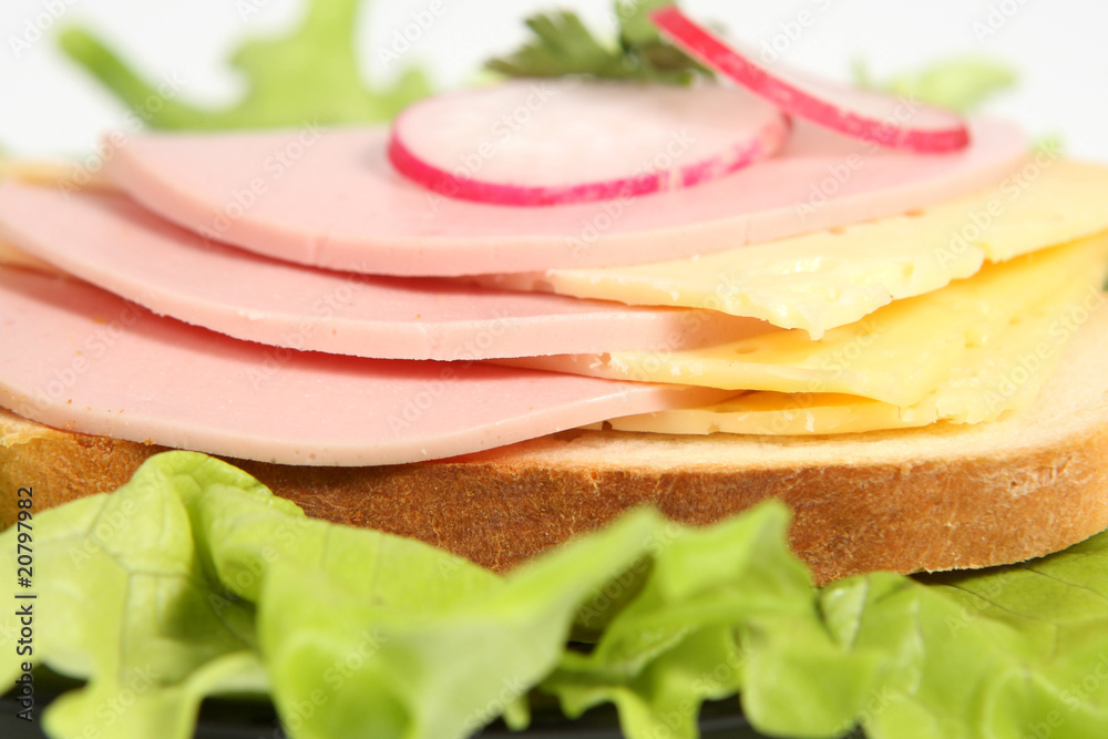 Ham sandwich with cheese, radish and greenery