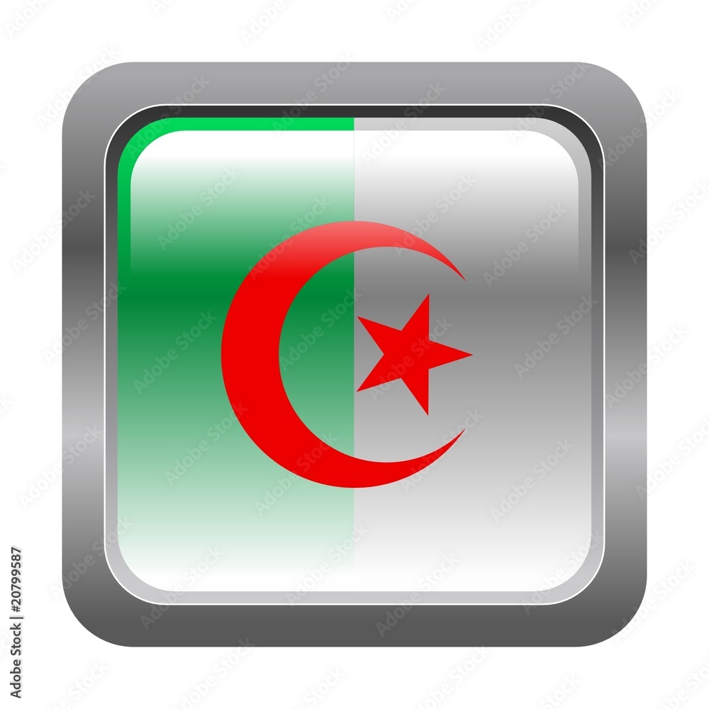 metallic button in colors of Algeria metallic button in colors of Algeria