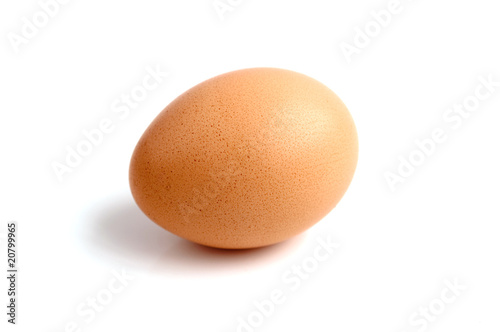 Egg