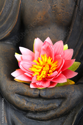 Buddha mit Blüte photo