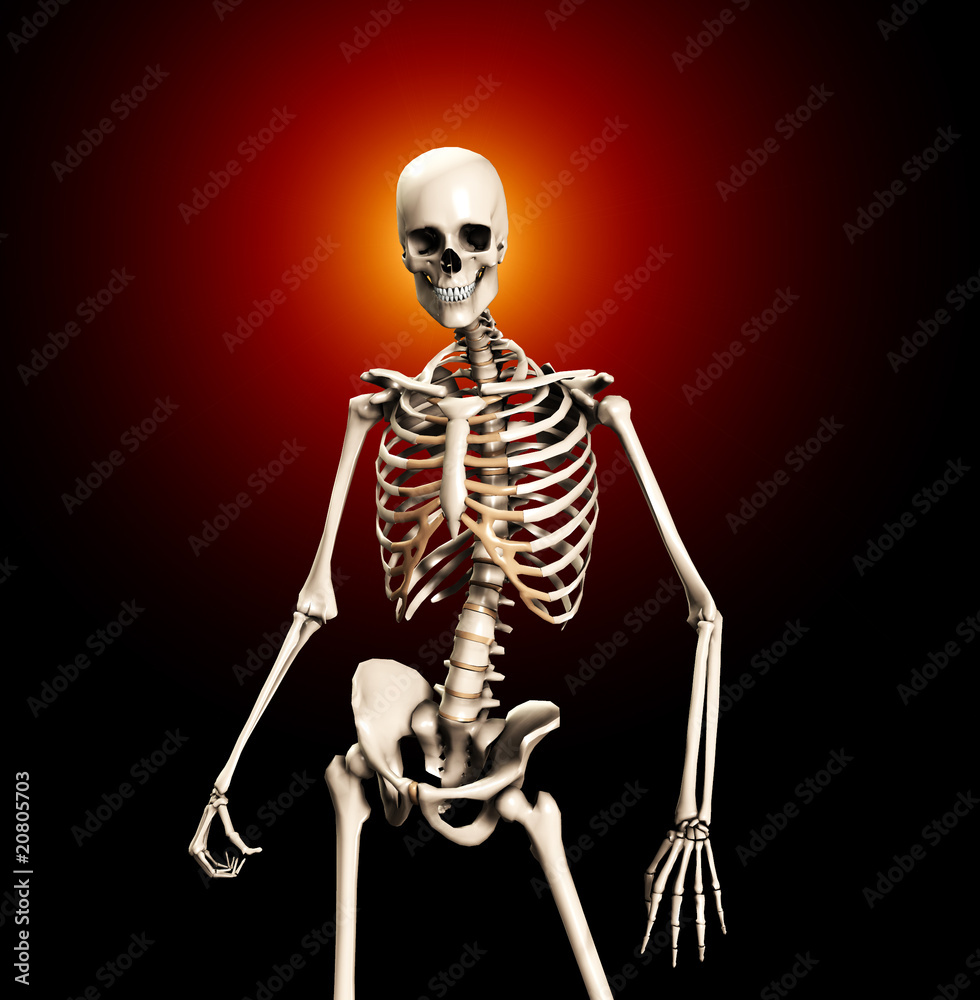 Standing Skeleton Standing Skeleton