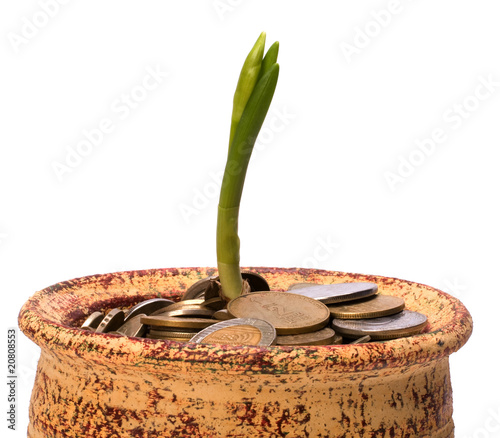 Money pot.  Business concept photo