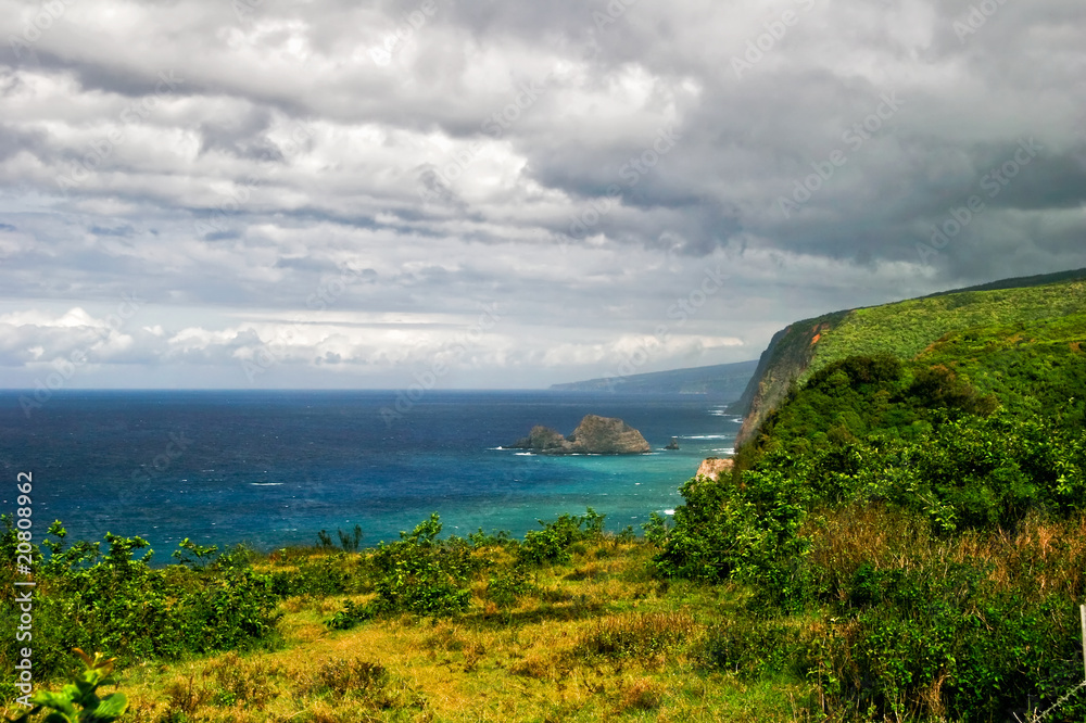 View on the ocean on Big island. Hawaii. USA