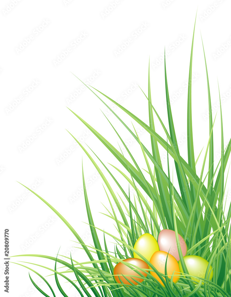 Fototapeta premium Easter background with the eggs and grass
