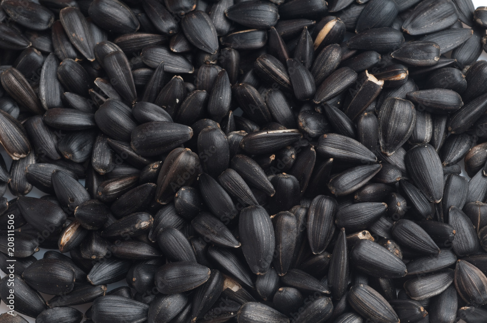 sunflower seeds sunflower seeds