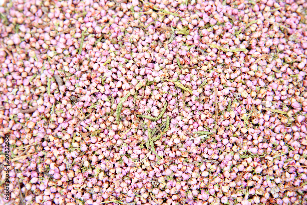 Obraz premium fleurs de bruyère