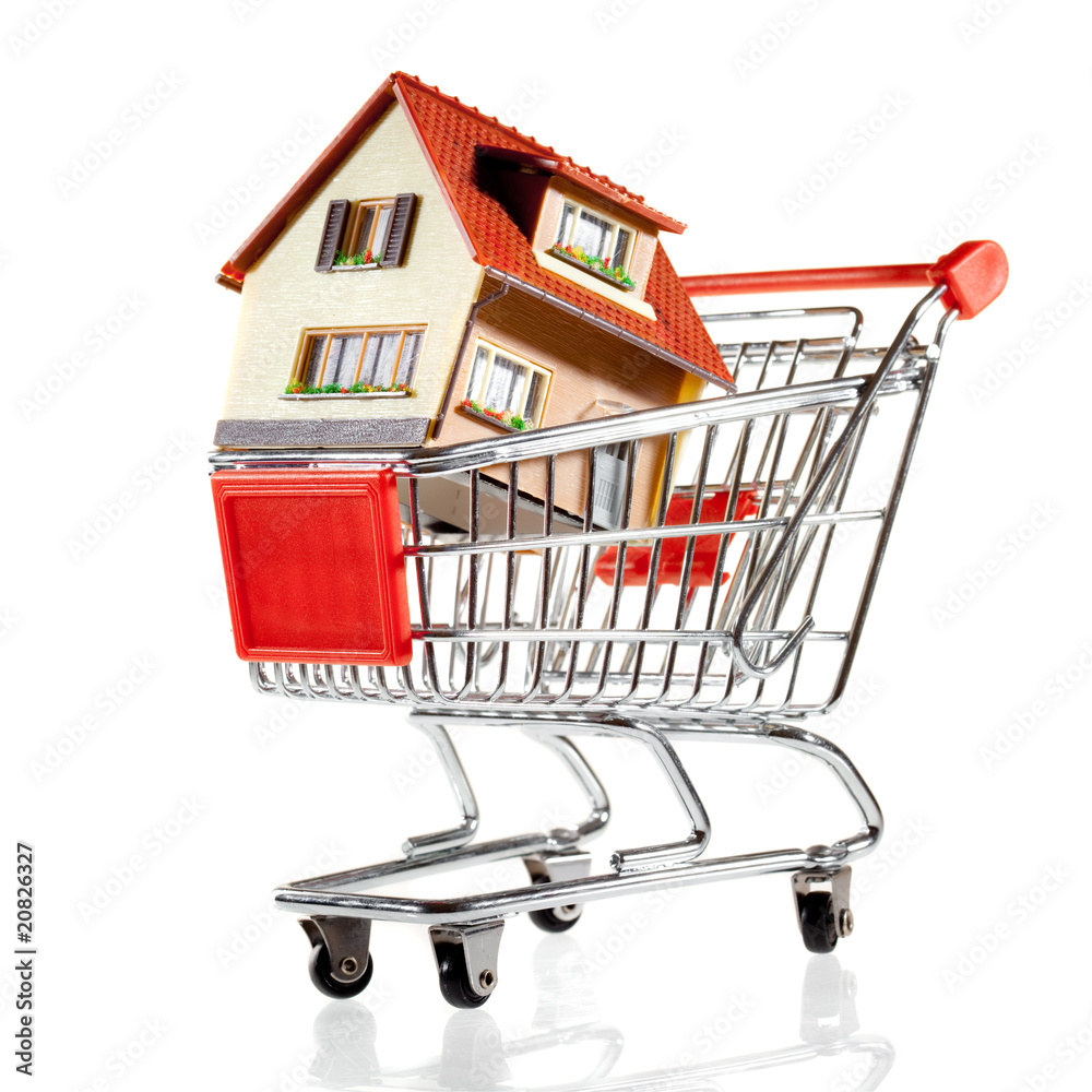 House and shopping cart House and shopping cart