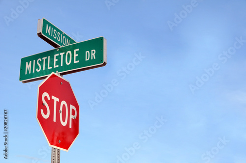 Mistletoe Street Sign - North Pole, Alaska photo