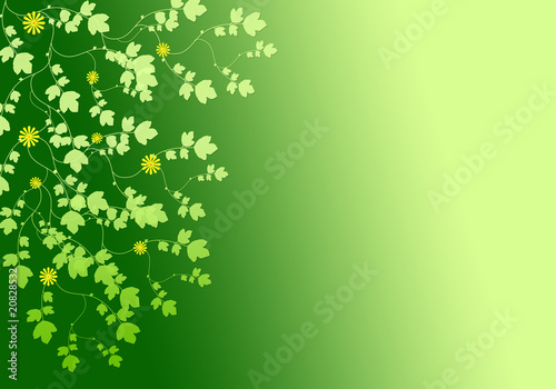 Abstract background from plants