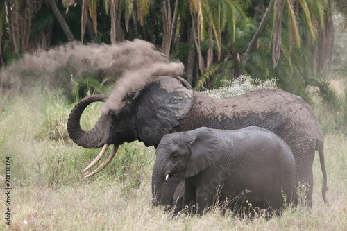 Elefant with cub having sand-shower in Serengeti NP