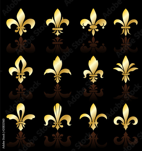 fleur de lis design collection
