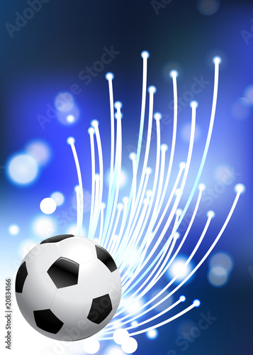 World Cup 2010 Soccer Ball