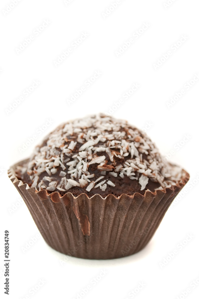 Chocolate Muffin with Coconut Chips Chocolate Muffin with Coconut Chips