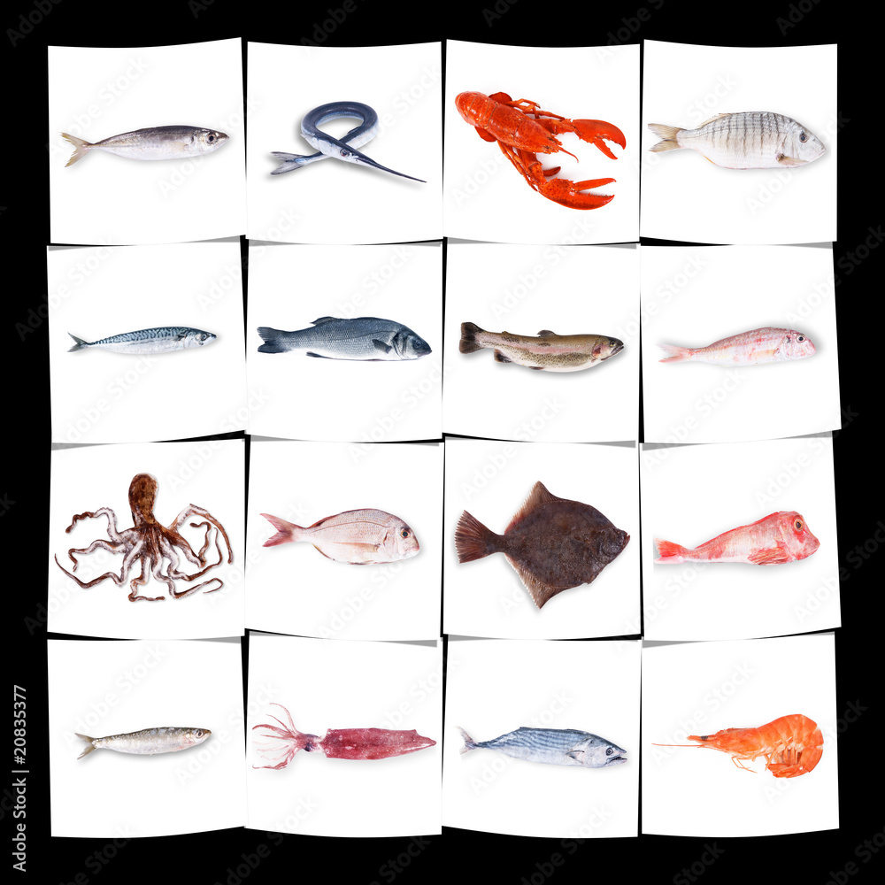 Naklejka premium pesci