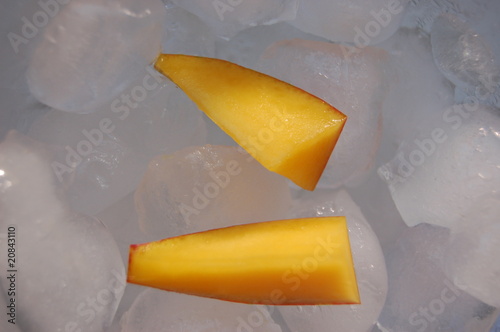 Mango na lodzie