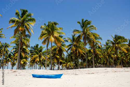 Pangane Beach