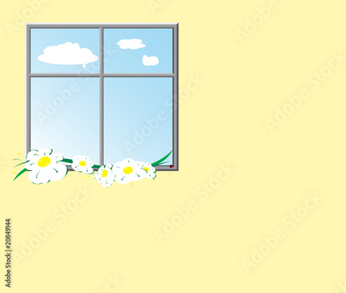 window with camomiles