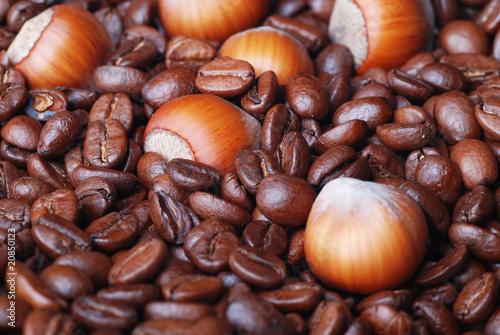 hazelnut