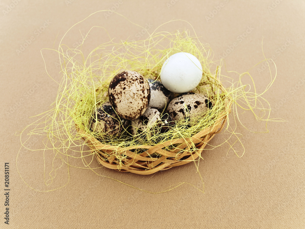 Obraz premium quial eggs