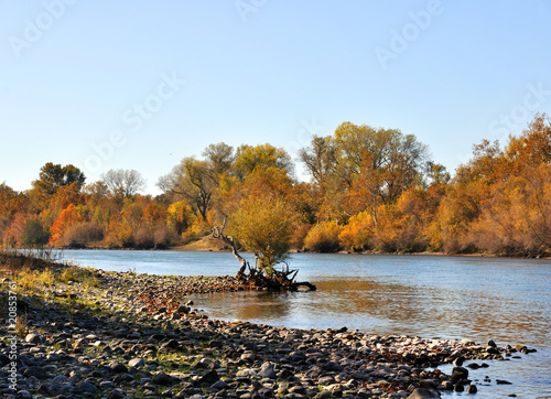 Sacramento River in the Fall