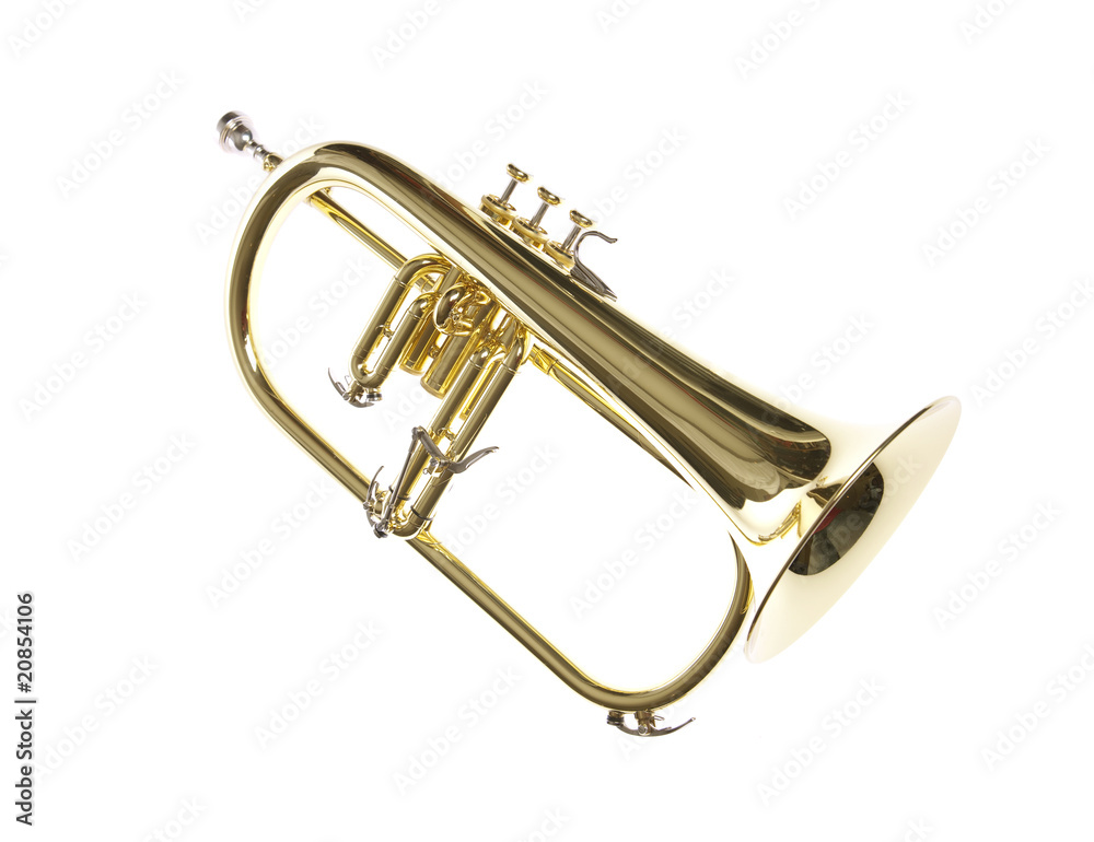 Obraz premium Flugelhorn