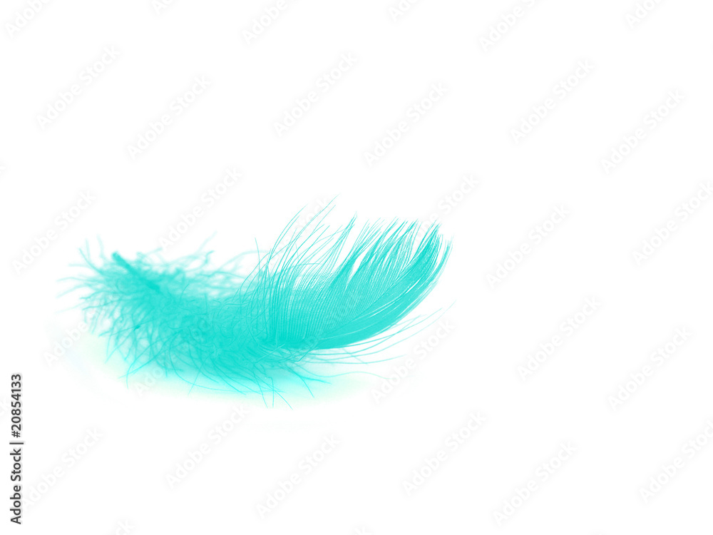 Feather