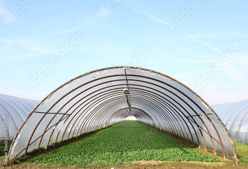 Foto agricoltura