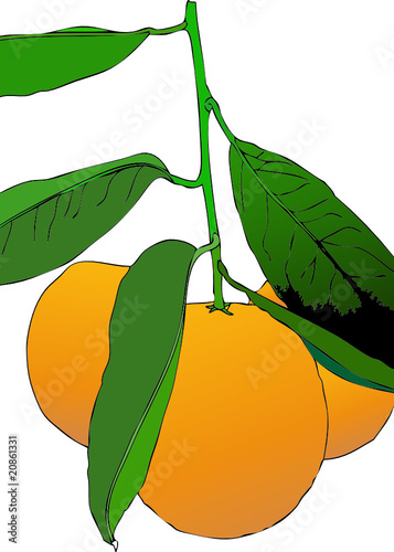 Tre mandarini