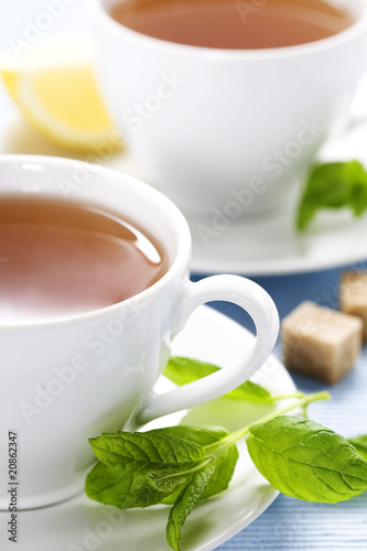fresh herbal mint tea