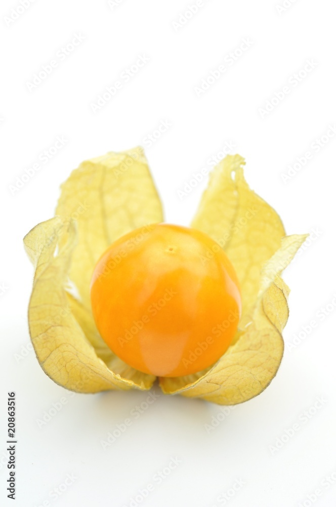 Physalis