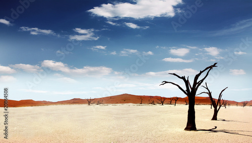 Einsame Wüste