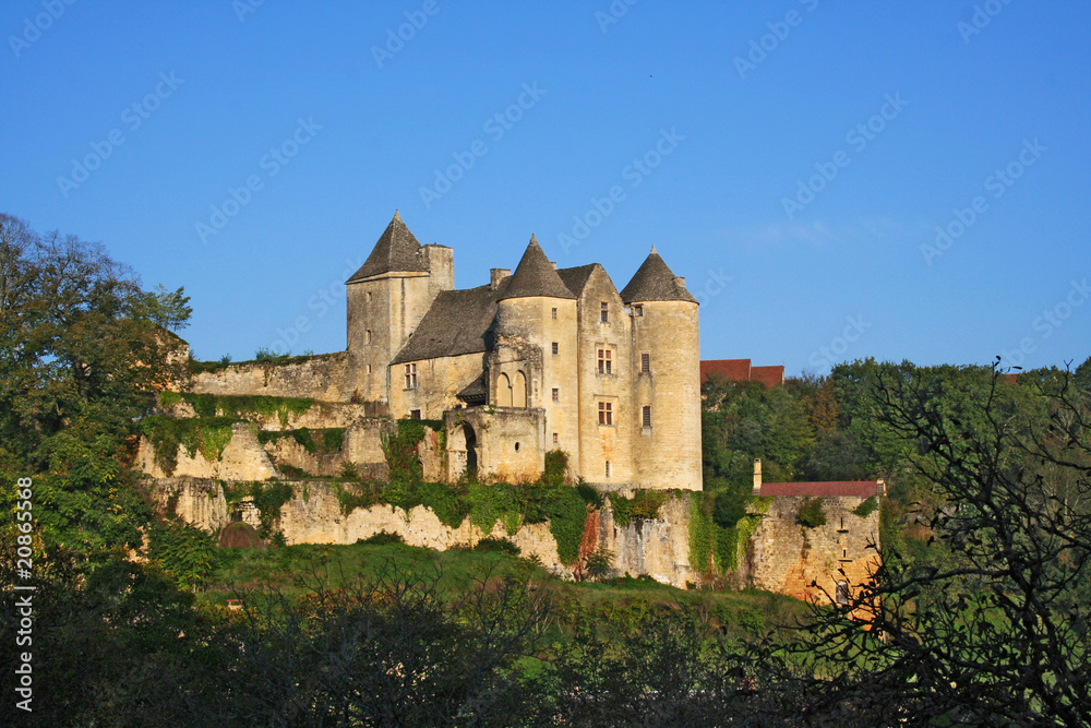 Château de Salignac en Dordogne