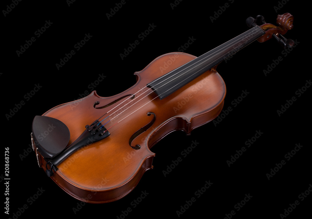 Fototapeta premium classic violin