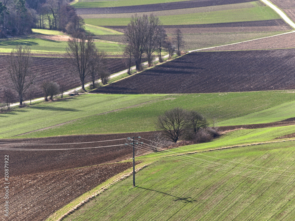 Obraz premium Agrarlandschaft