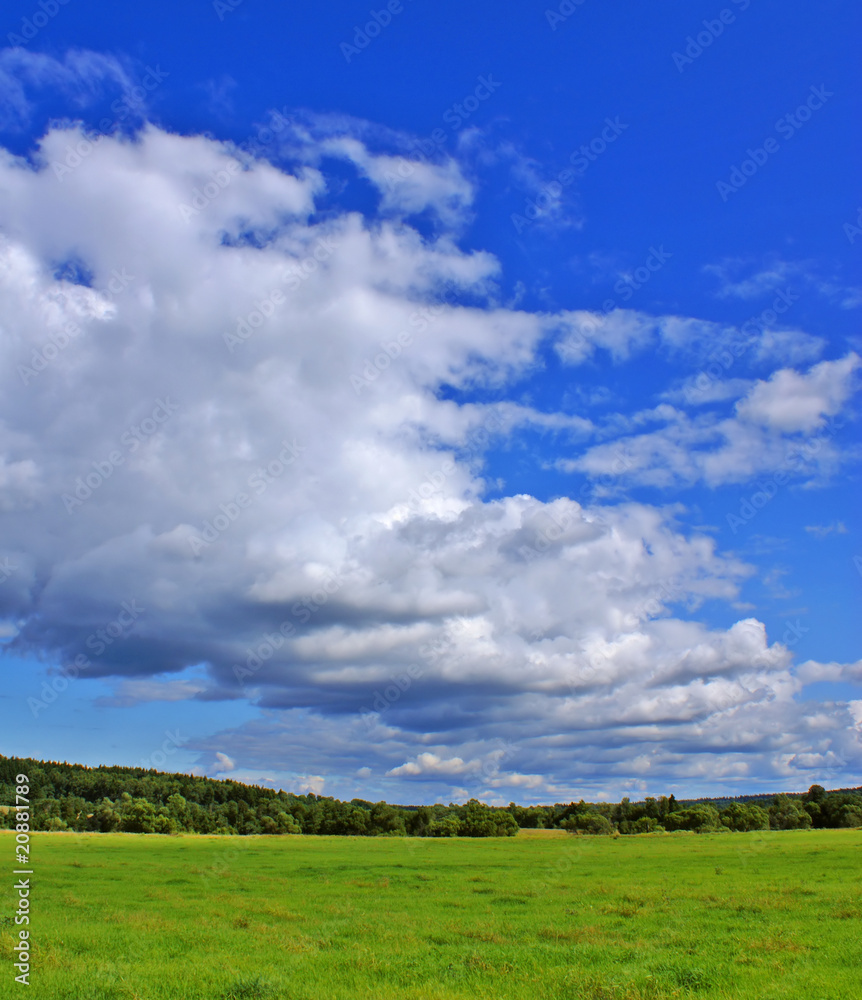 Summer landscape