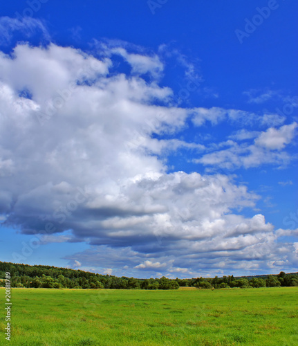 Summer landscape