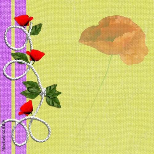 fond anis et rose, coquelicots