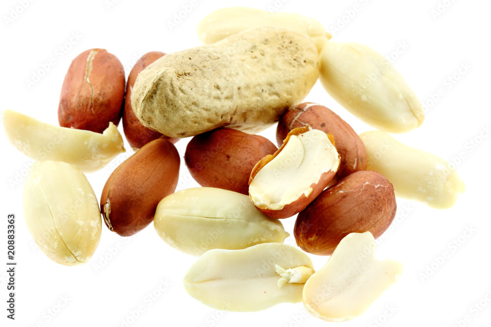 cacahuètes fond blanc cacahuètes fond blanc