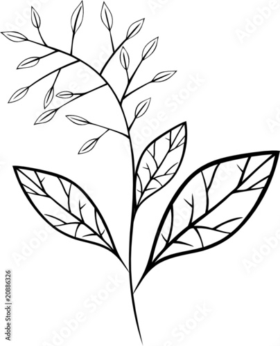 black art, Blumen, Ranke, floral, Laub, Blätter