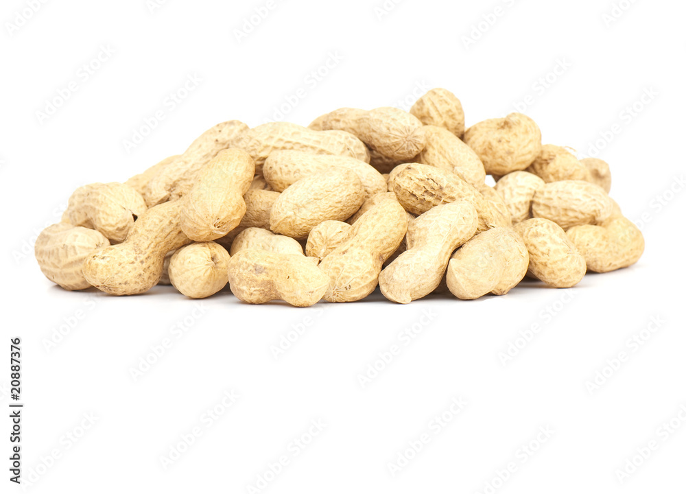 Peanut Peanut